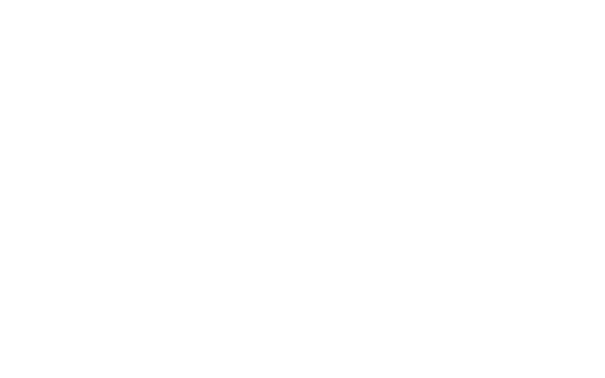 Gusgonsa Inversiones
