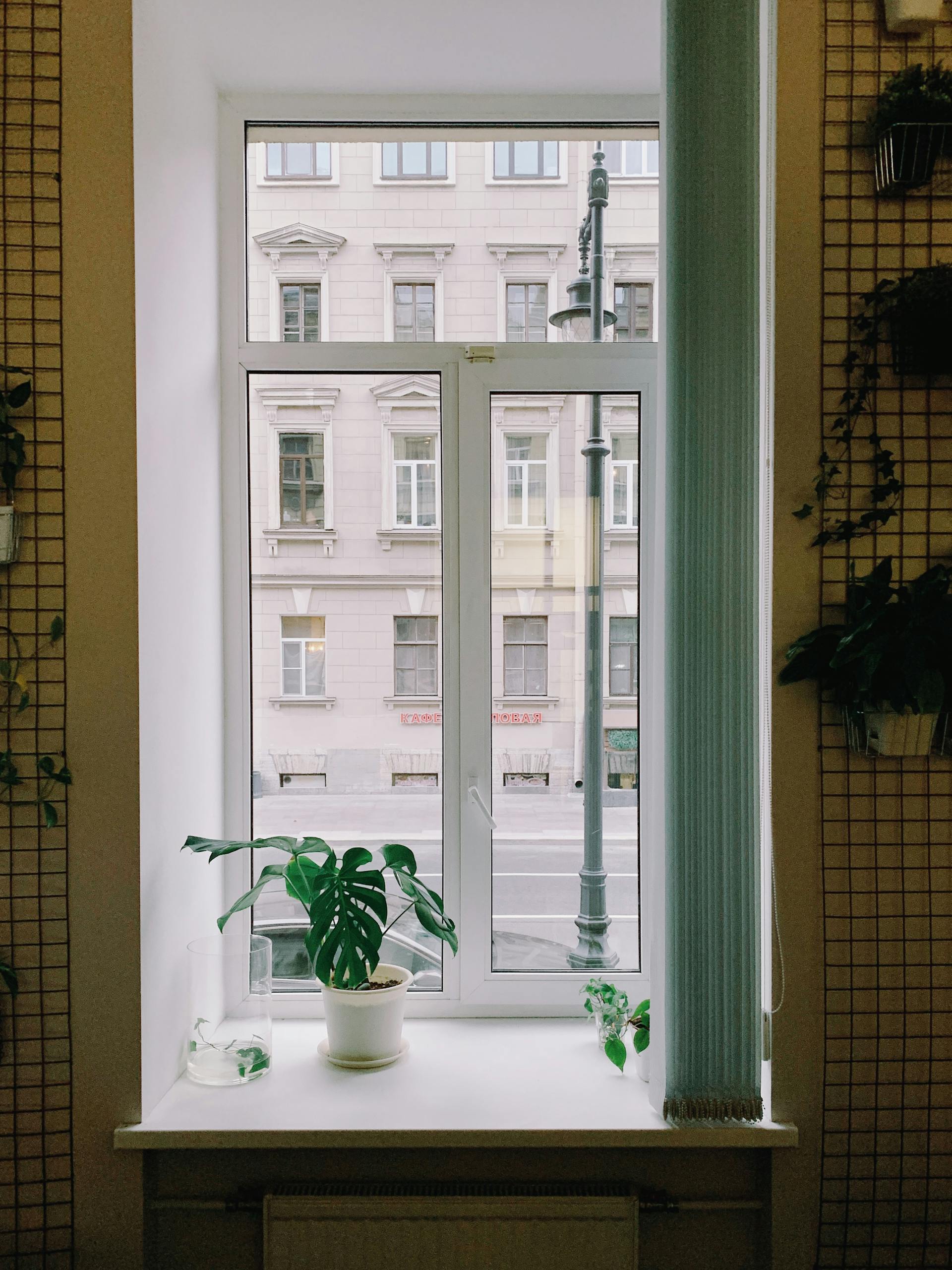 A serene indoor scene showcasing a potted plant on a window sill in an urban location.